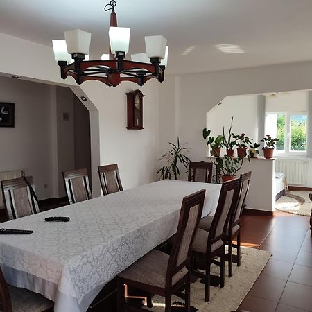 Vila Casa Danci Centru Borşa Exteriér fotografie