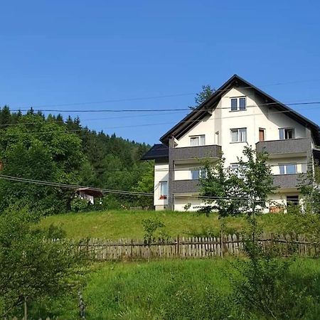 Vila Casa Danci Centru Borşa Exteriér fotografie