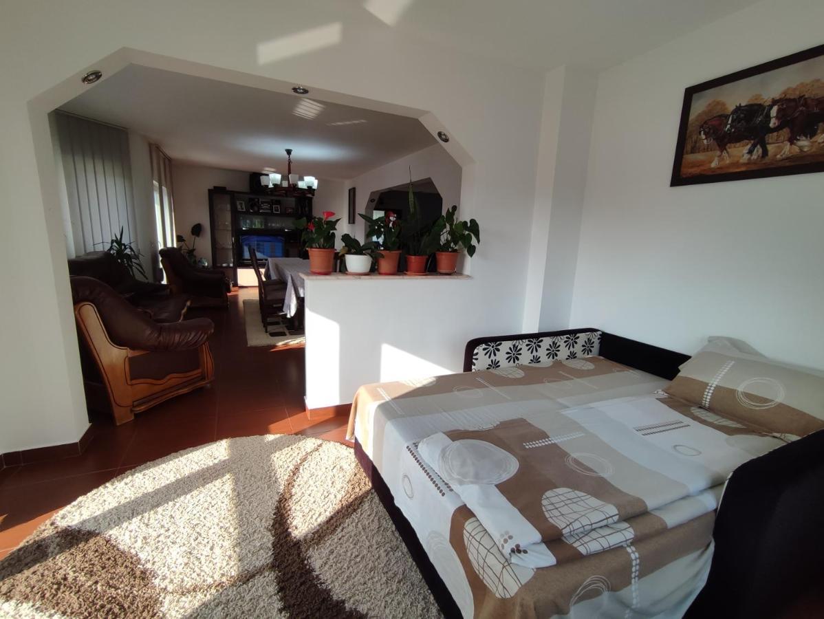 Vila Casa Danci Centru Borşa Exteriér fotografie