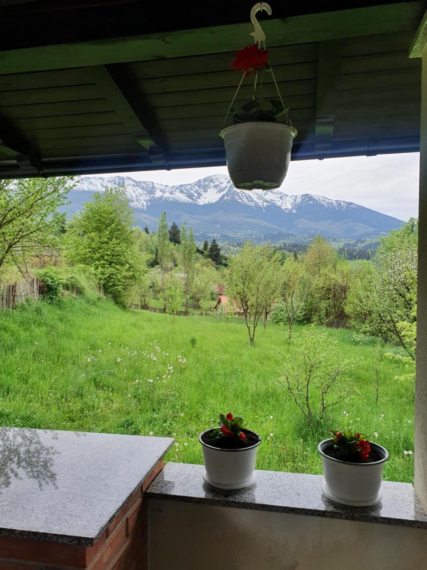 Vila Casa Danci Centru Borşa Pokoj fotografie