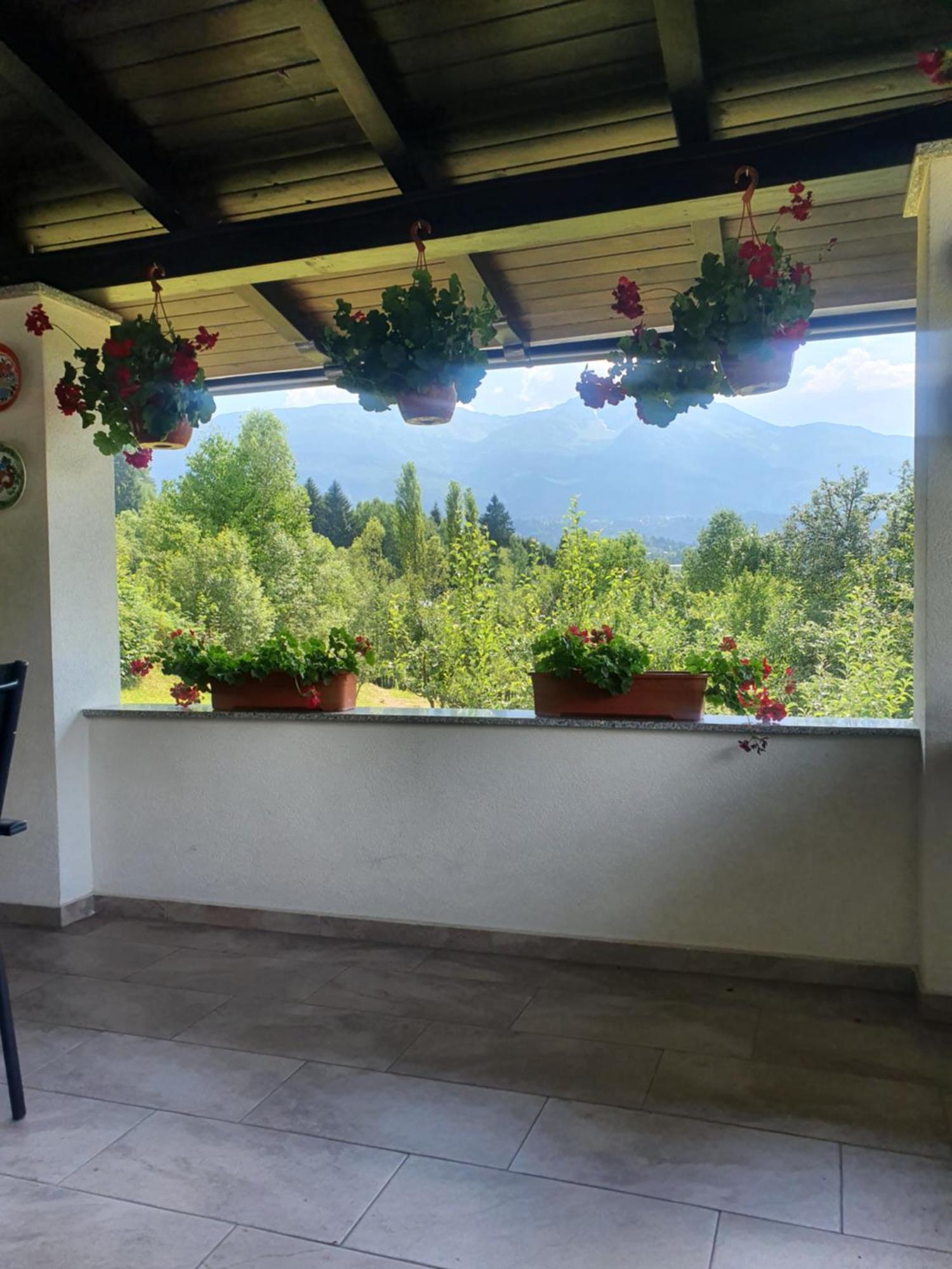 Vila Casa Danci Centru Borşa Exteriér fotografie