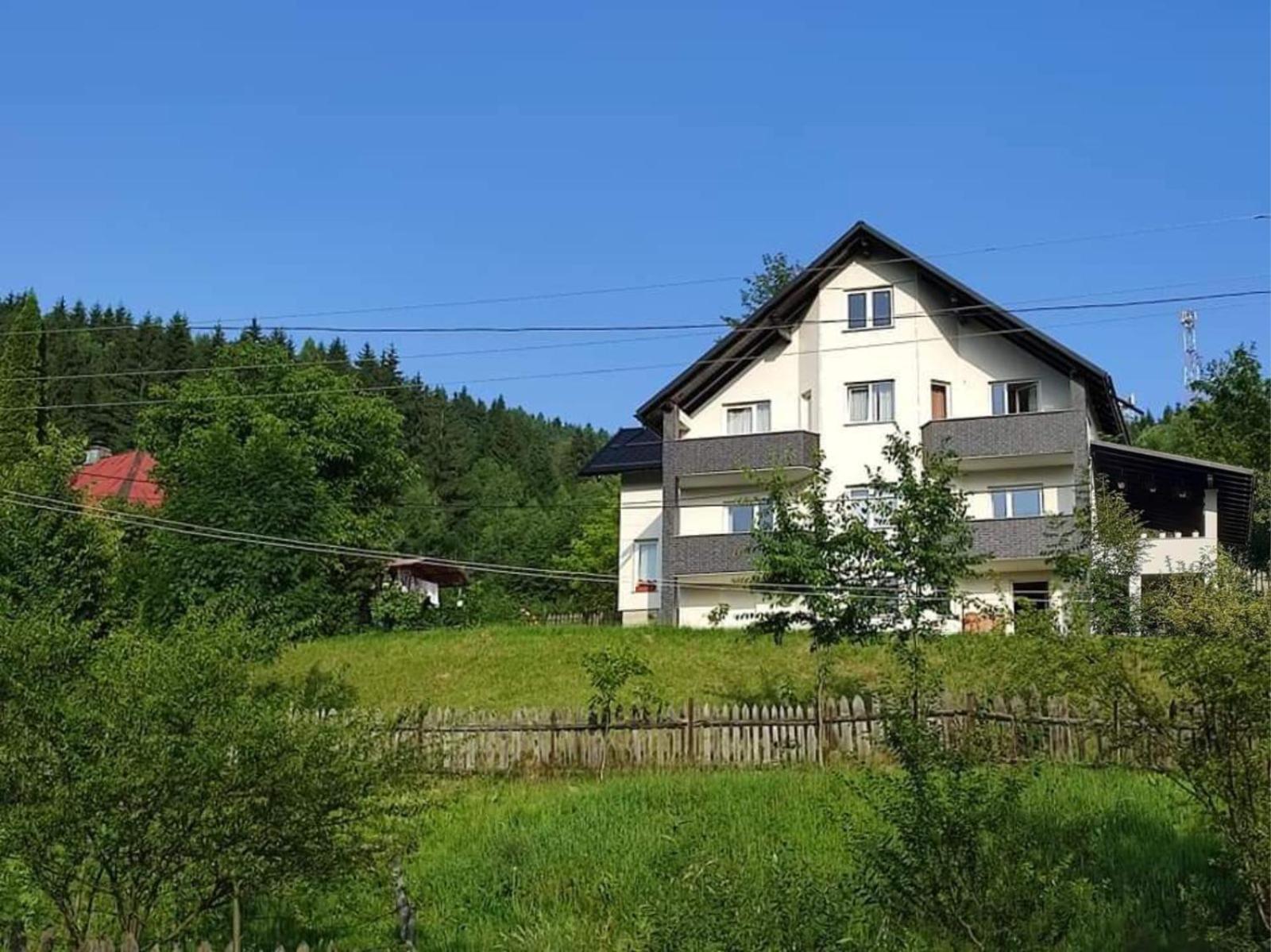 Vila Casa Danci Centru Borşa Exteriér fotografie